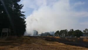 21.07.16 Wald - Feldbrand Bergzow Parchen 1