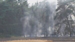 21.07.16 Wald - Feldbrand Bergzow Parchen 10