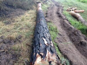 21.07.16 Wald - Feldbrand Bergzow Parchen 12